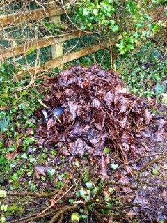 building a hedgehog house image