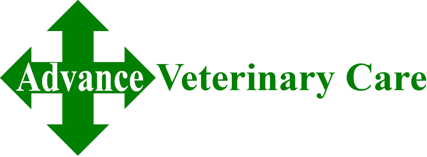 Advance Veterinary Care Ltd